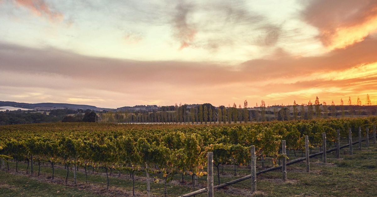 The Top Tourism Towns in NSW have been crowned - some you might never have heard of