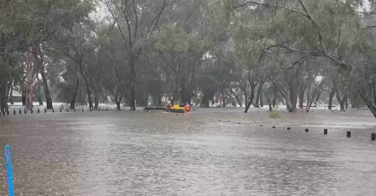 NSW flood warnings remain as emergency services receive 600 requests for help