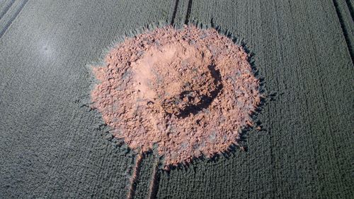 A World War II bomb has exploded in a German field.