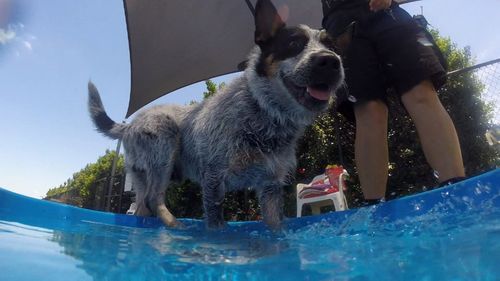 Queensland heatwave weather