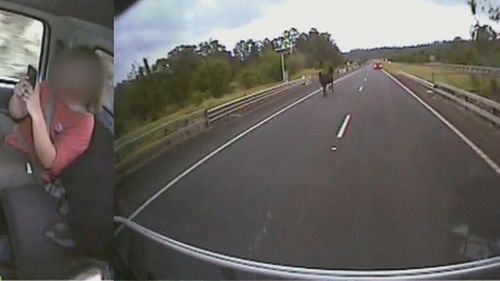 A horse seen running down the highway.