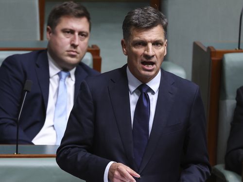 Membro de Hume Angus Taylor durante uma declaração de 90 segundos na Câmara dos Representantes no Parlamento em Canberra na quinta-feira, 12 de fevereiro de 2026. Fedpol Foto: Alex Ellinghausen