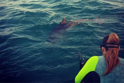 Swimming with Dolphins. We're not jealous at all. Hmmm.