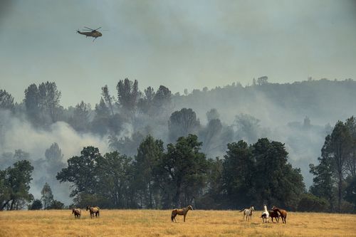 A cause is yet to have been determined for this year's wildfires. Picture: AP.