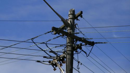 Power poles and wires in NSW will be leased by the state government. (AAP)