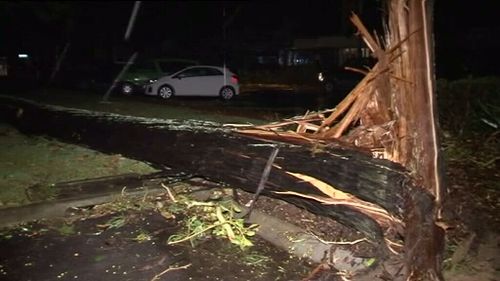 Storms have battered Queensland. (9NEWS)