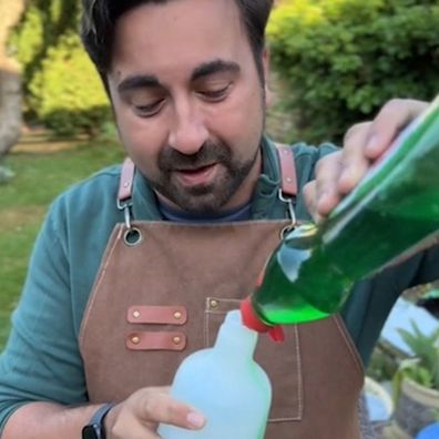 Gardener Ish shares a dish soap spray hack to combat aphids