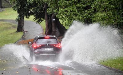 A car negotiates water across the road at Mrs Maquaries drive in the CBD.