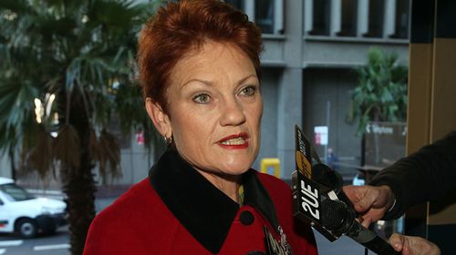 'I am not a racist - criticism is not racism': Pauline Hanson addresses Queensland rally