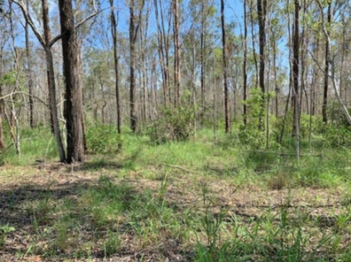 Vacant land for sale where you can be at one with nature. 