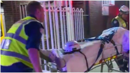 Paramedics treated the man for leg injuries at the scene before transporting him to hospital. (9NEWS)