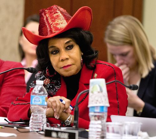 Republican congresswoman Frederica Wilson made the claim about the president's comments. (AP)