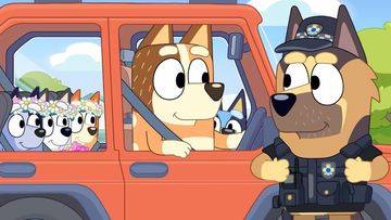 Can Chilli be fined for placing Bluey in the front seat?