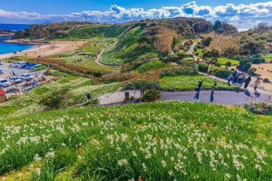 Japan off the beaten path Shizuoka Prefecture