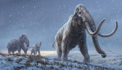 Analysis of DNA contained in the soil showed that mammoths were living in mainland Siberia 3900 years ago - after the Great Pyramid of Giza was built in Egypt and the megaliths of Stonehenge were erected.