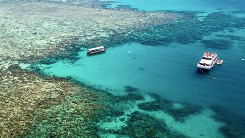 Snorkelling at Upolo Cay, part of the Great Barrier Reef