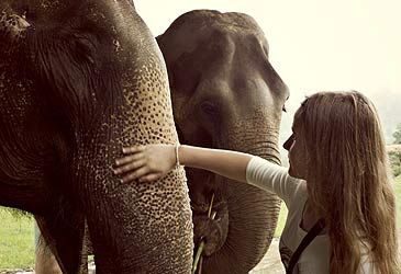 Which subspecies of elephant are you most likely to find in Thailand?