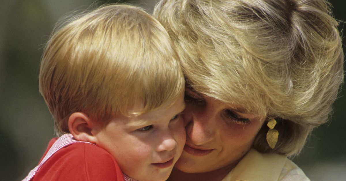 'Just another celebrity on a red carpet': Why Princess Diana wouldn't approve of Prince Harry's US move