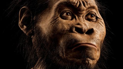 New ancient human species found in South African caves