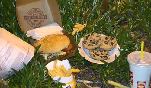 A burger, chips, soft drink and baked treat were also left near the crash scene for Aivy. (9NEWS)