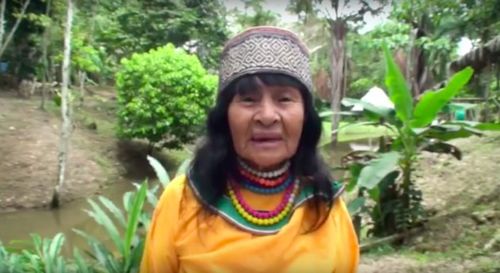 Olivia Arévalo, 81, was shot near her home (YouTube).