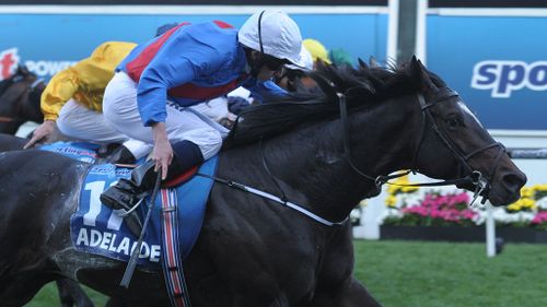 Adelaide, ridden by Ryan Moore, wins the Cox Plate at Moonee Valley Racecourse. (AAP)