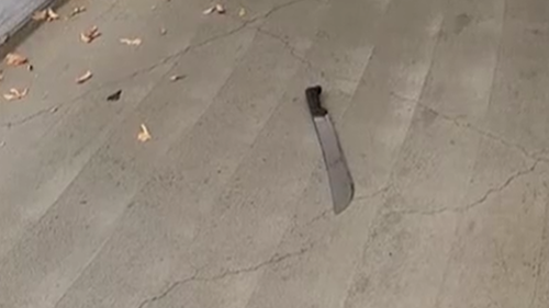 A former Married At First Sight contestant has performed a citizen's arrest to restrain a teen allegedly armed with a machete running down a Melbourne street.