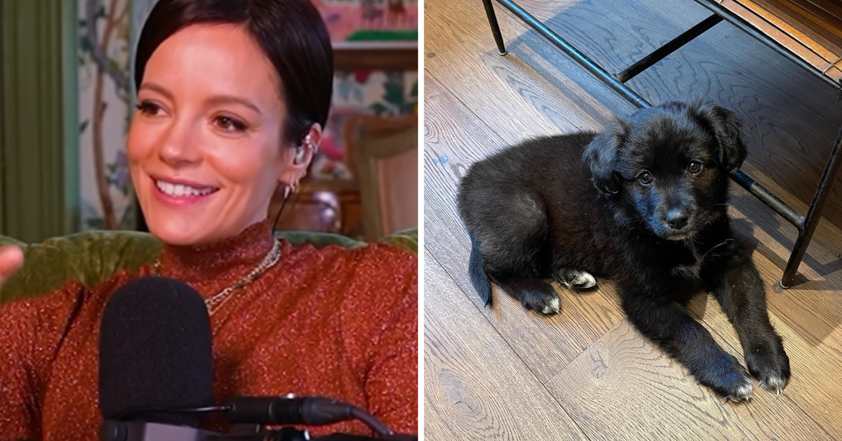 Lily Allen rehomed pet dog after it destroyed her family’s passports, she reveals in podcast