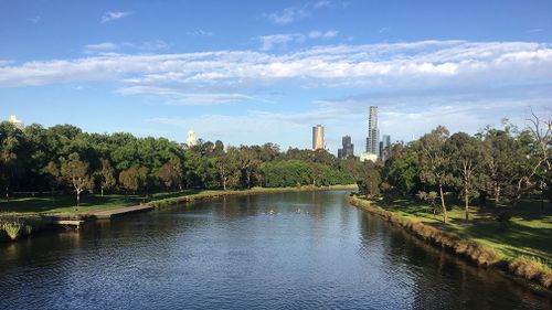 The Yarra River at 7am today, where it was already 20 degrees. (Supplied/Katie Hale)