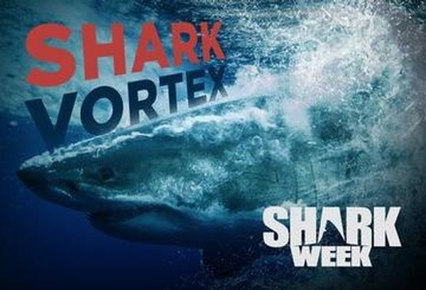 Shark Vortex