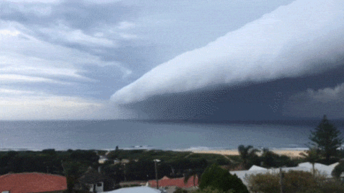 A time lapse video of the storm front taken from Long Reef. (Supplied: Scott Marshall)