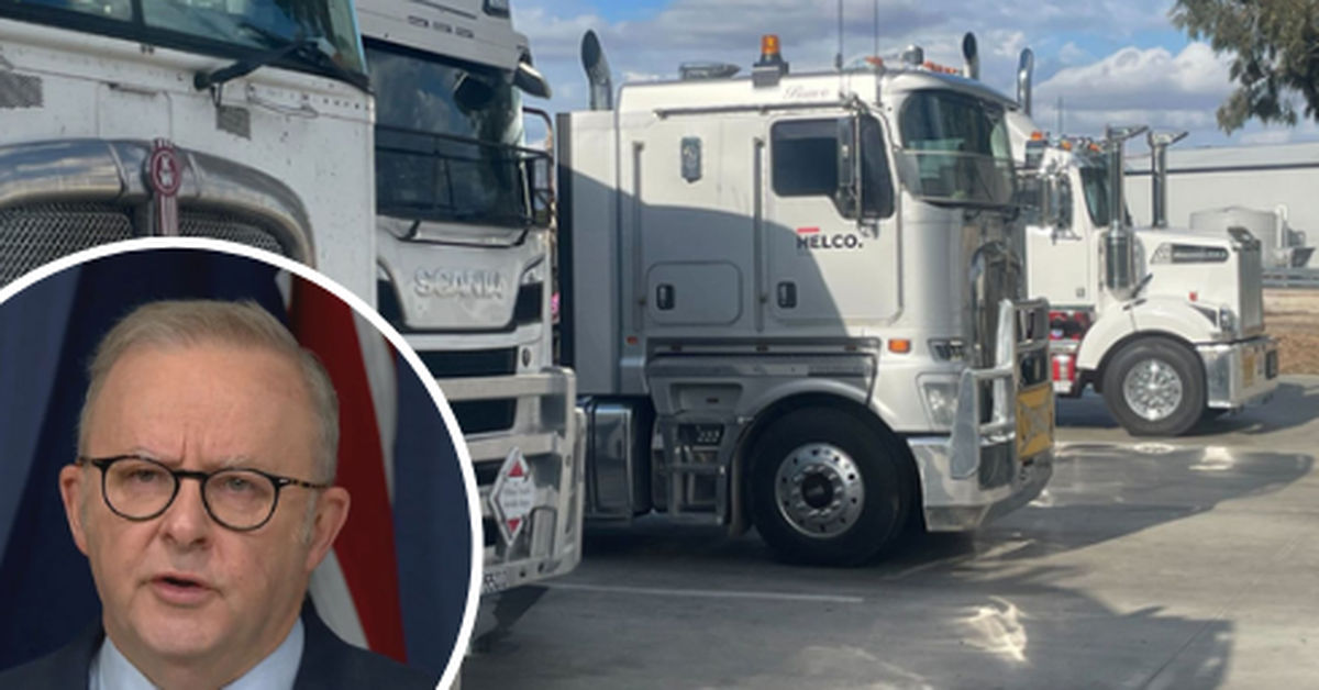 'Businesses are going under now': Truckies knock Albo's fuel crisis plan