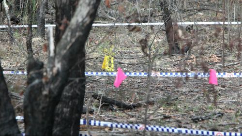 Ms Pearce-Stevenson was last seen alive in 2008. Picture: AAP