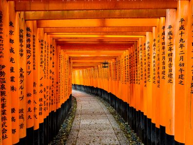 Torii gate in Japan