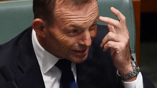 'Minister Abbott' unlikely: Turnbull