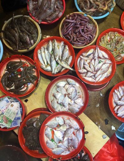 Fish at Hong Kong's wet markets