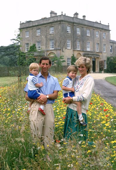 King Charles, Princess Diana, Prince William and Prince Harry