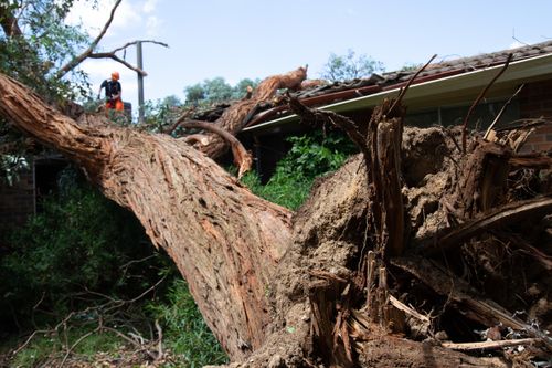The clean-up continues after a powerful storm ripped through the ACT on Monday afternoon.