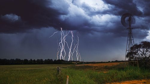 The results of a study released today found Australia is highly vulnerable to allergens and allergic diseases linked to climate change.