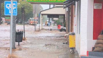 Queensland flood looper.