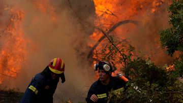 Firefighters battle a blaze in Ellinika village on Evia in Greece.