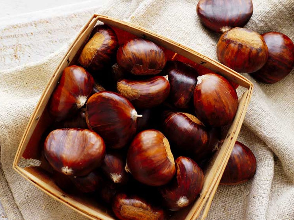 How To Cook Peel And Store Chestnuts 9kitchen