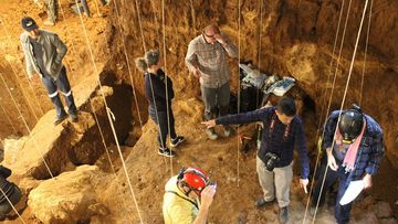 Archaeologists are shown here working at Tam Pa Ling cave in northeastern Laos.