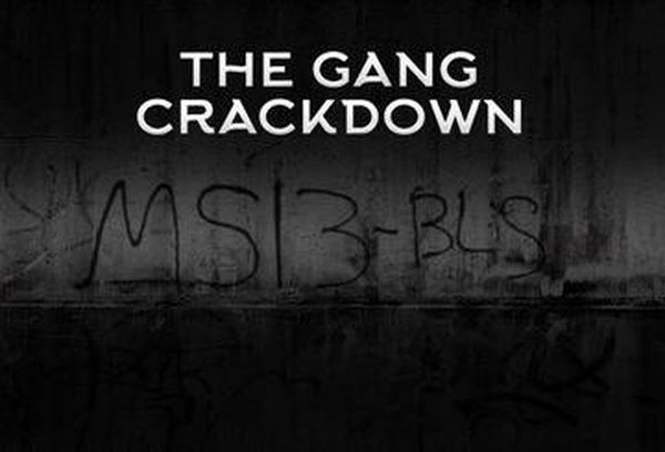The Gang Crackdown