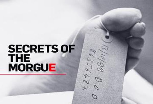 Secrets Of The Morgue