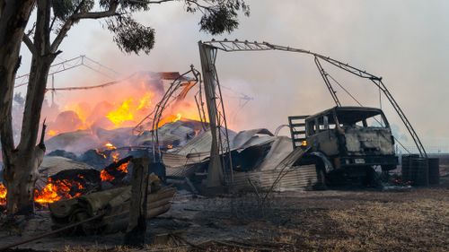 Thousands of pigs have burned alive, with fears for more livestock in South Australia