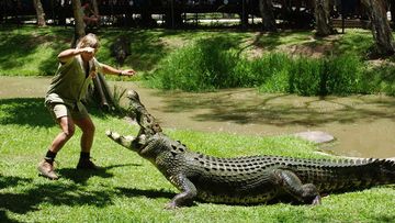 Steve Irwin is remembered for his love for crocodiles, earning him the title 'Crocodile Hunter'