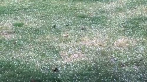 Hail lies in a backyard in Maida Vale, Perth. Picture: Supplied