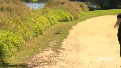 Snake Awareness Hiking in Perth - Off The Beaten Track WA