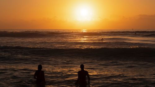 Swimmers at sunrise at Bondi Beach